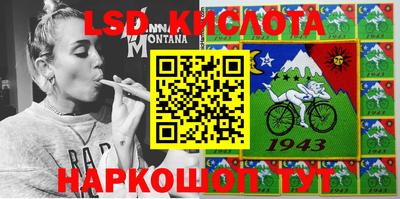 крисы Абакан