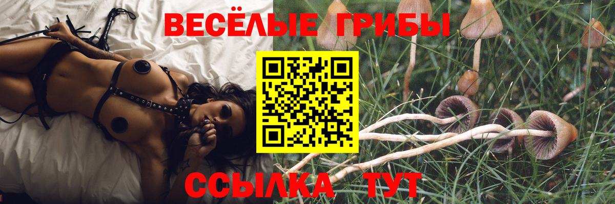Псилоцибиновые грибы ЛСД  Вход с VPN  Галлюциногенные грибы мицелий  Алексин 